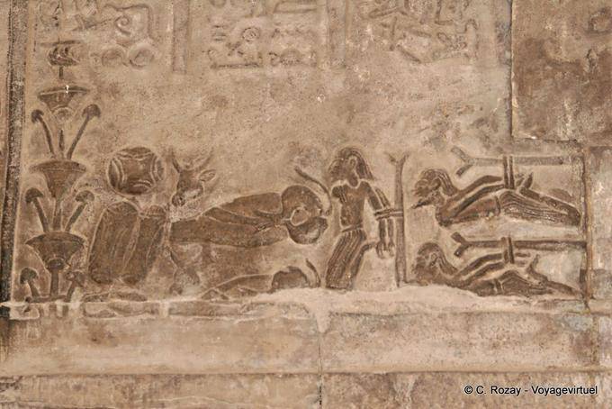 Torture scene, temple of Kom Ombo - Egypt