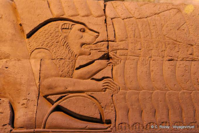 The Lion, detail of a sculpture, temple of Kom Ombo - Egypt