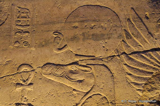 Sobek, the crocodile god, relief, temple of Kom Ombo - Egypt