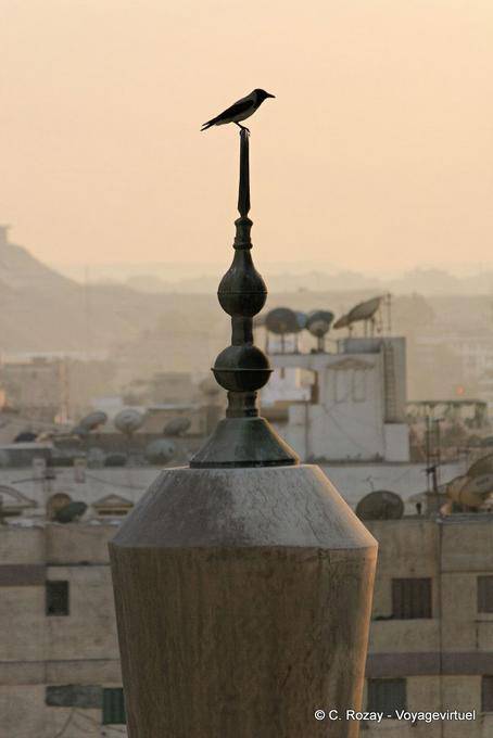 Bird atop a minaret, Cairo - Egypt