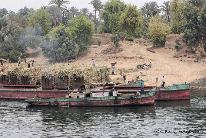 Loading crops on barges, banks of the Nile near Luxor - Egypt