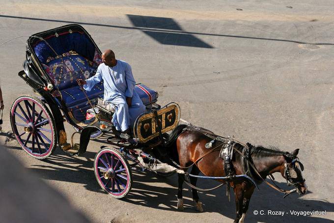 Caléche of Luxor in customer waiting - Egypt