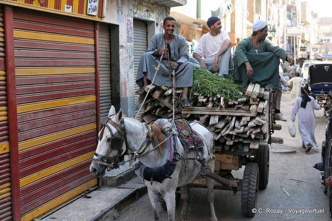 Truck timber merchant, Luxor - Egypt