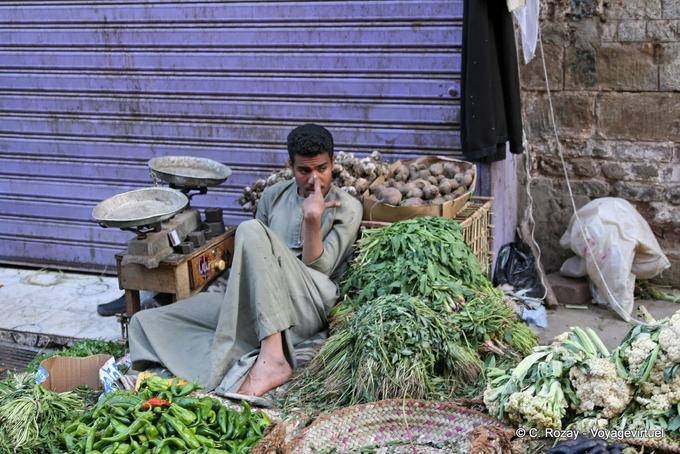 Relaxation of the greengrocer, Luxor market - Egypt