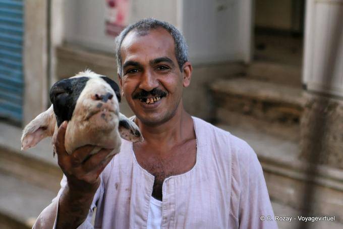 A sheep's head in hand, Luxor - Egypt