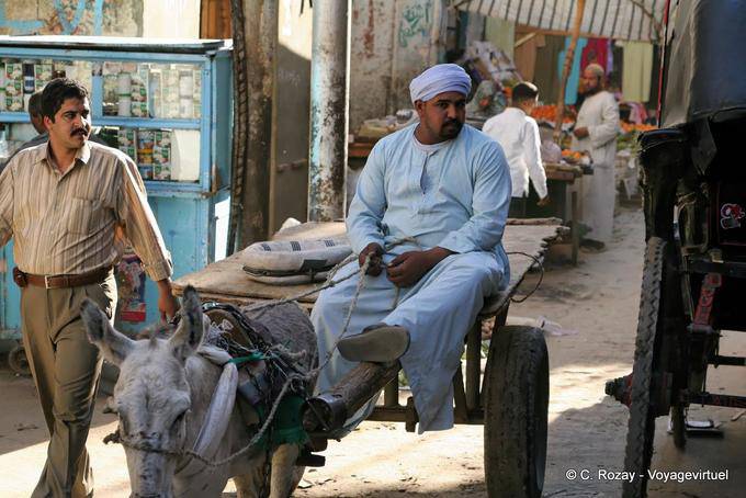 Haroun el poussah on his cart, Luxor - Egypt