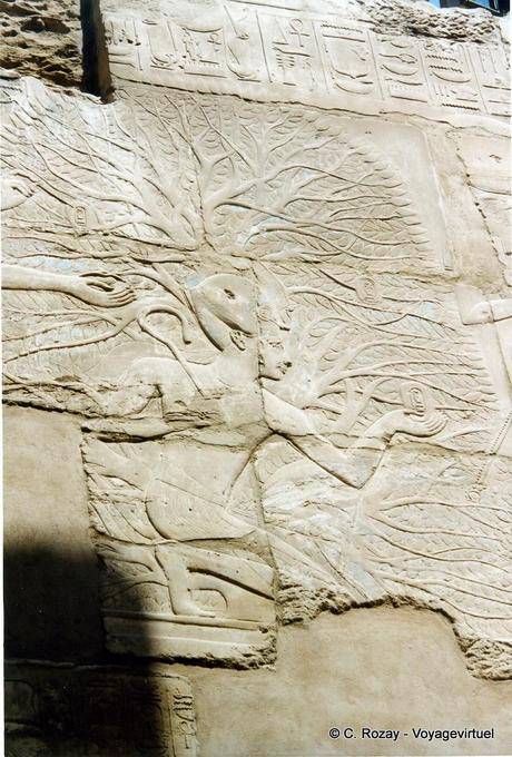 Thoth wrote the name of Seti the first fruits of the tree-iched, Karnak Temple - Egypt
