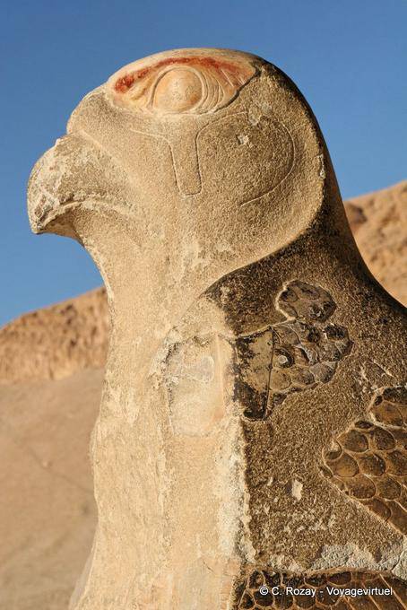 Head of a giant statue of Horus, Temple of Hatshepsut - Egypt