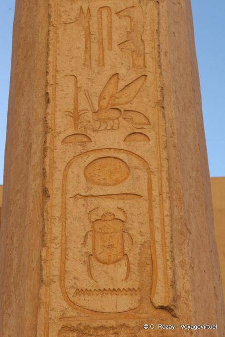 Beetle in a cartridge, Hatshepsut Temple - Egypt