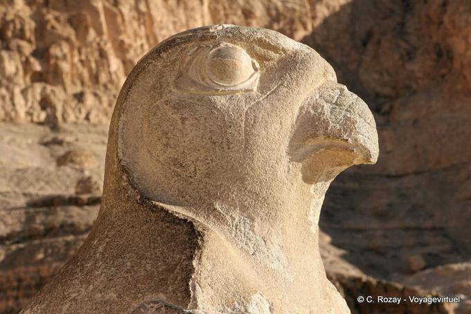 Hawk Profile Horus, Temple of Hatshepsut - Egypt
