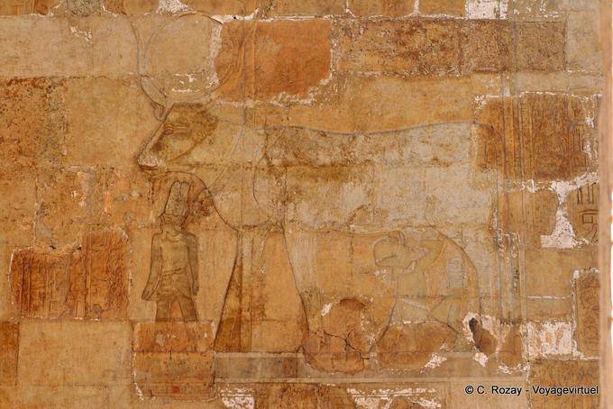 Temple of Hatshepsut, a child drinking the sacred milk udder - Egypt