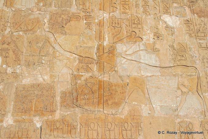 Representation Hathor cow licking the hand of Pharaoh, Hatshepsut Temple - Egypt