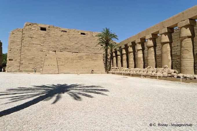 Palm shade in the courtyard facing the second pylon, Karnak Temple - Egypt