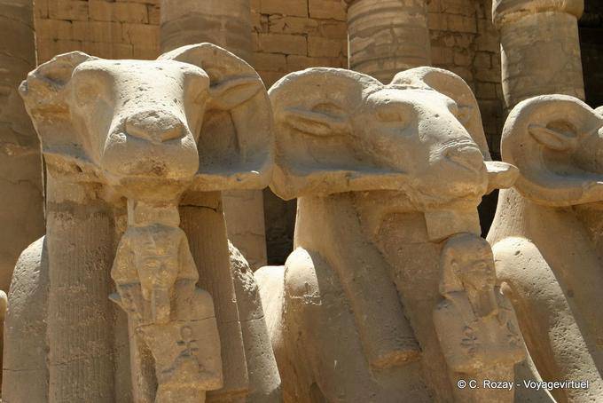 Pharaoh holding the ankh sign between the legs of ram lion's body, the temple of Karnak - Egypt