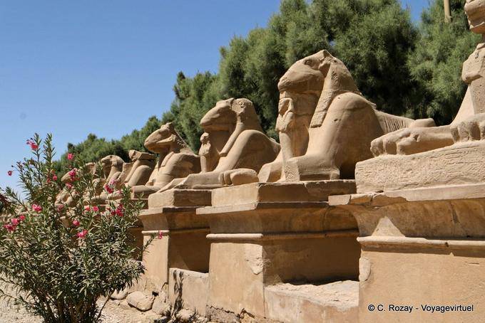 Ram-headed sphinxes alley at the entrance to Karnak site - Egypt