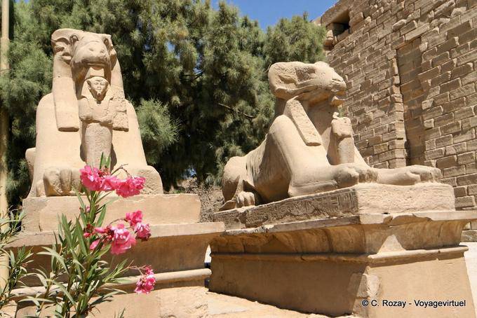 Two sphynx the walkway to the precinct of Amun-Re, Karnak - Egypt
