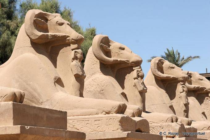 Ram-headed sphinxes, ram-headed deities of the Egyptian pantheon, temple of Karnak - Egypt
