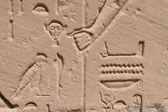Close up detail of a relief, head, owl and hand Karnak Temple - Egypt