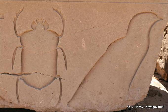 Beetle and bird, recessed relief, Karnak Temple - Egypt
