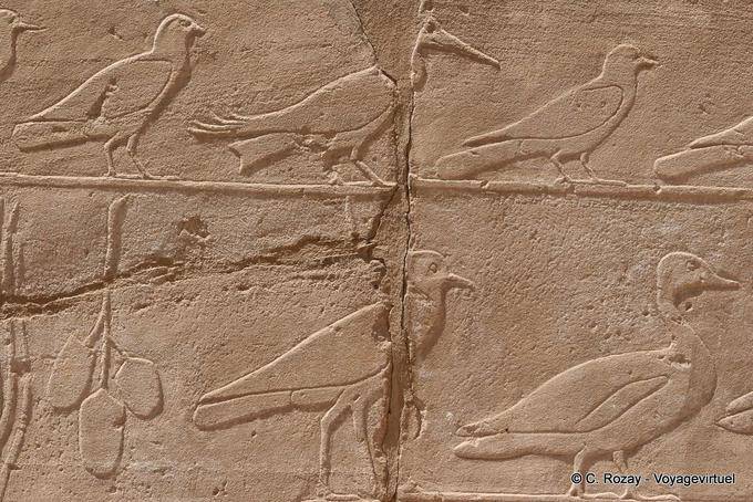 Parade of different birds, relief, Karnak Temple - Egypt