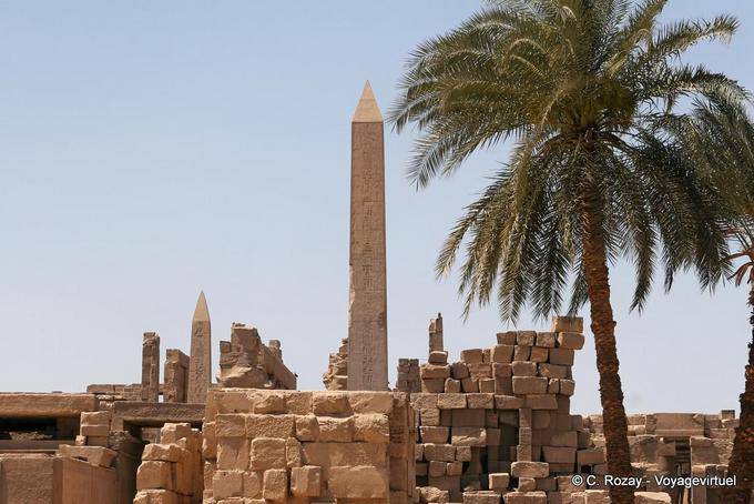 The palm and obelisks, archaeological site of Karnak - Egypt