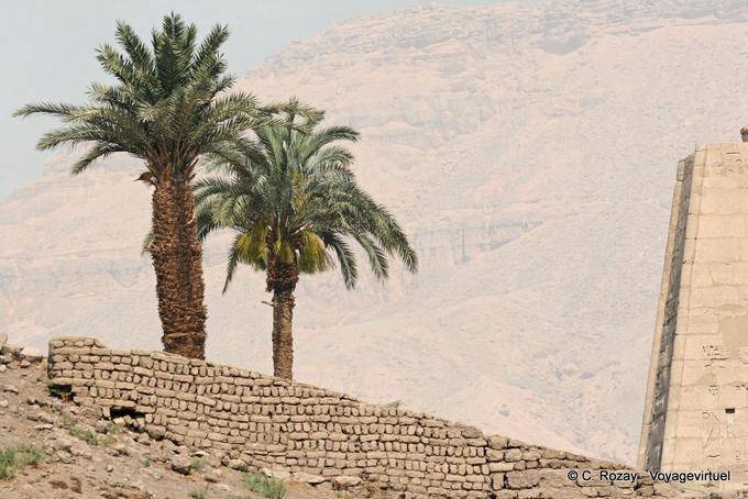 Palm trees behind an ancient wall, Medinet Habu - Egypt
