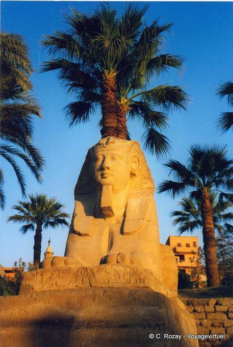 Sphinx head of King Nectanebo, Luxor Temple - Egypt