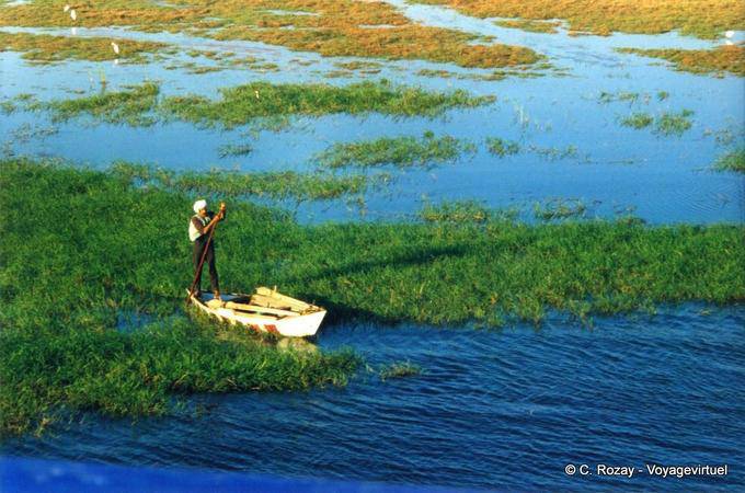 Colors of the Nile - Egypt