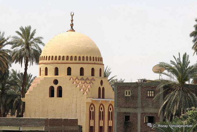 Particular Mosque on the bank of the Nile - Egypt