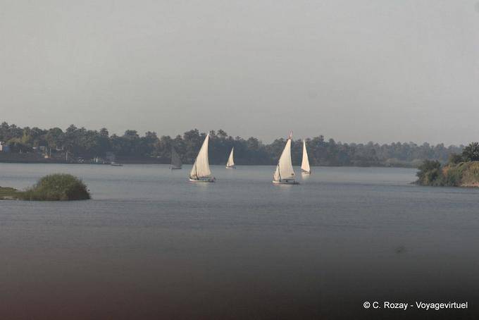 Regatta feluccas on the Nile - Egypt