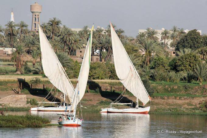 Trapezoidal sails and palm Nile - Egypt