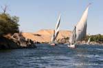 Between two islands, feluccas race, Aswan, Egypt.