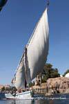Felucca sailing trapeze billowing, Aswan, Egypt.