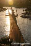 Sun in the sail of the felucca, Nile south of the Old Cataract Aswan, Egypt.