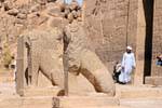 Lions guarding the temple of Isis, Philae Temple, Egypt.