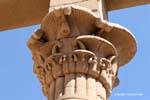 Detail of capital of a column, Temple of Philae, Egypt.