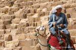 Camel in front of the blocks of the Cheops pyramid, Egypt.
