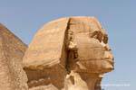 The Sphinx of Giza Profile, Egypt.