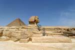 The paws of the Sphinx of Giza, Egypt.