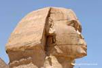 The head of the Sphinx, Giza, Egypt.