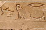 Goose owl relief of Saqqarah, Egypt.