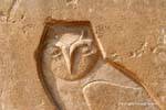 Owl carved, symbol of wisdom, Saqqara, Egypt.