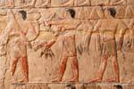 Offering bearers, mastaba of Mereruka, Saqqara, Egypt.
