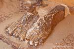 Statue of feet, Djoser, Saqqara, Egypt.