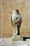 Statue of Horus the falcon-god in front of a pylon, Edfu temple, Egypt.