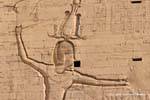 Pharaoh Ptolemy XII into enemies by the hair, relief pylon, Edfu temple, Egypt.