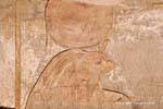 Color remains of a solar Horus, Edfu temple, Egypt.