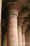 Set of floral columns like stone papyrus columns Hall, Temple of Khnum, Esna, Egypt.