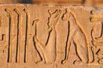 Stilts and god Bastet cat sitting behind the king, relief, temple of Kom Ombo, Egypt.