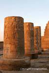 Another view of the truncated columns lit by the setting sun, temple of Kom Ombo, Egypt.